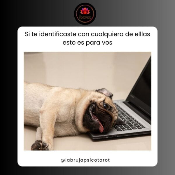 Mentoria de negocios holísticos - Imagen 7