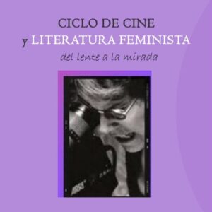 Ebook Cine feminista